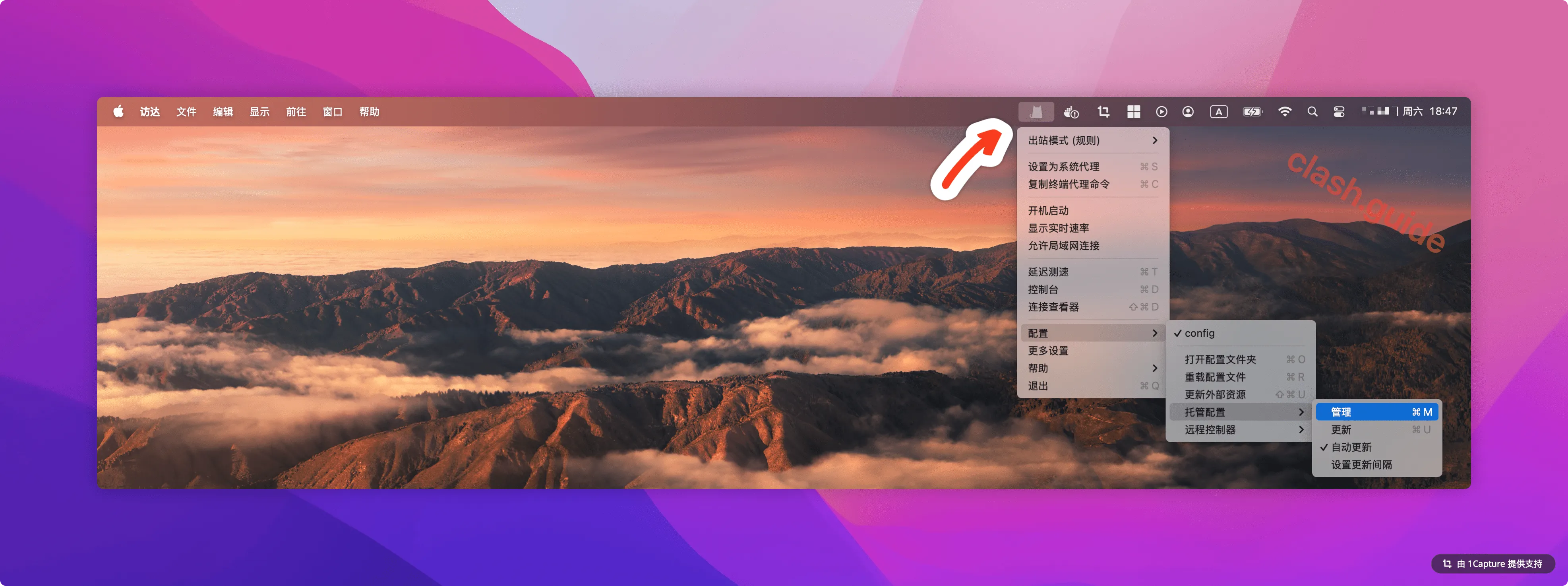 ClashX 管理并添加远程订阅链接